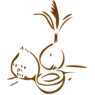 Three illustrated coconuts with a palm tree behind them.