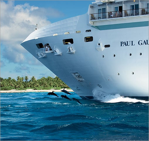 Dolphins jumping through the water at the hull of the m/s Paul Gauguin.