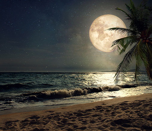 A beach illuminated by a full moon.