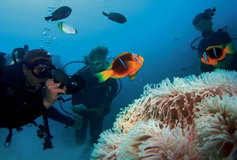Guests on a Paul Gauguin Cruises SCUBA diving excursion get up close to the South Pacific’s beautiful corals and colorful fish.