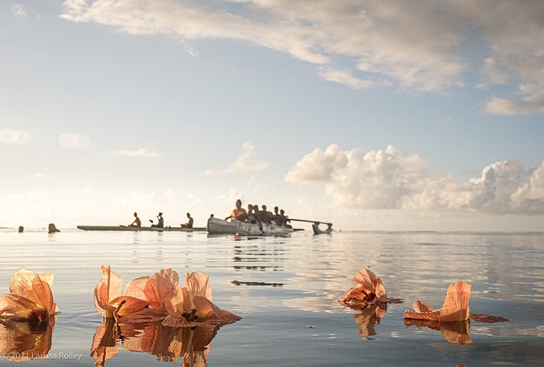 Larissa Rolley floating hibiscus