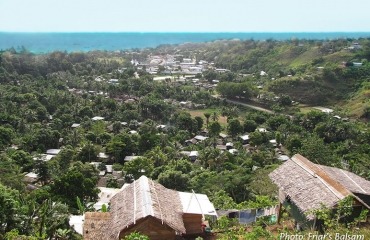 Honiara Guadalcanal Friars Balsam