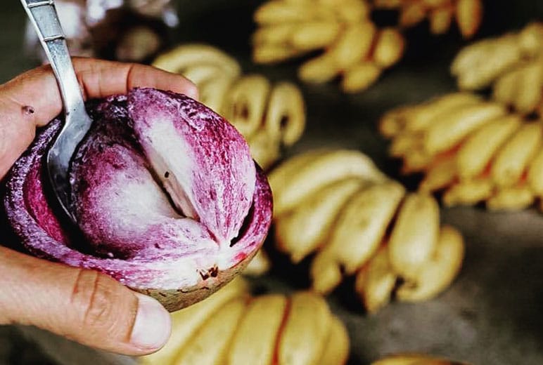 Beautiful purple dish and bananas