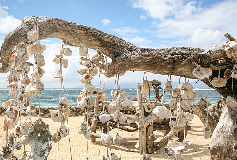 Larissa Rolley, tikis beach shell art