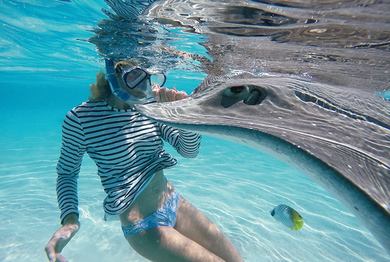 underwater tahiti stingray