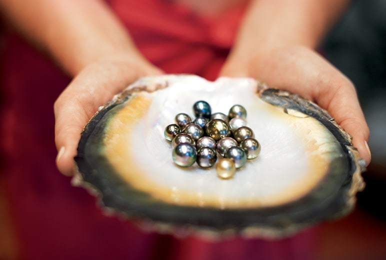 Tahitian pearls are the only pearls that have a full color spectrum; black-tip pearl oysters have a rainbow-like mantle that exhibits all natural colors