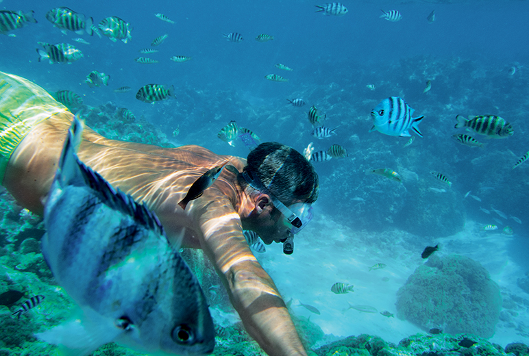 From flavor palate adventures on board to color pallet discoveries undersea; French Polynesia enchants with a kaleidoscope of ocean life not found anywhere else in the world.