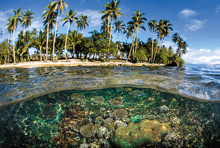 One visits the Solomon Islands as much for its underwater spectacle that rivals its singular enchantments on land.  