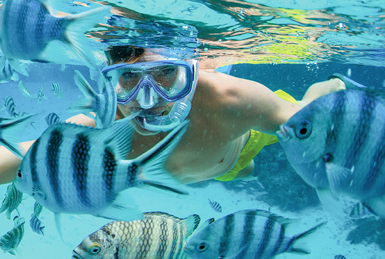 Moana Explorer Program | Snorkeling in French Polynesia