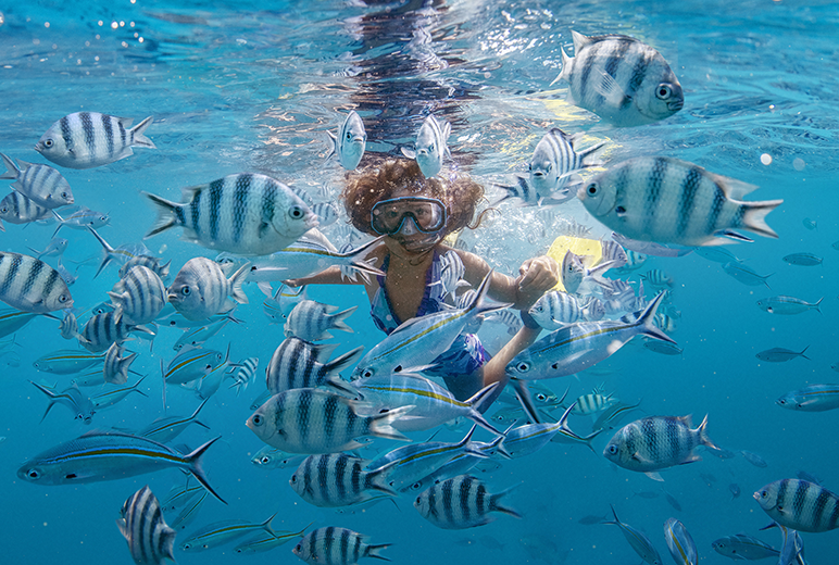 Snorkeling in Fiji | Photo Credit: TourismFiji