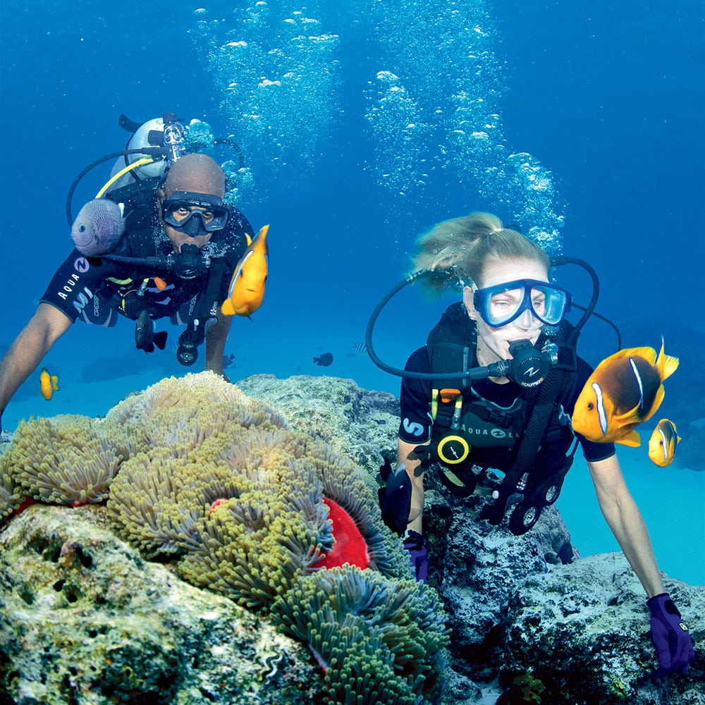 Paul Gauguin Cruises | Scuba diving in Tahiti