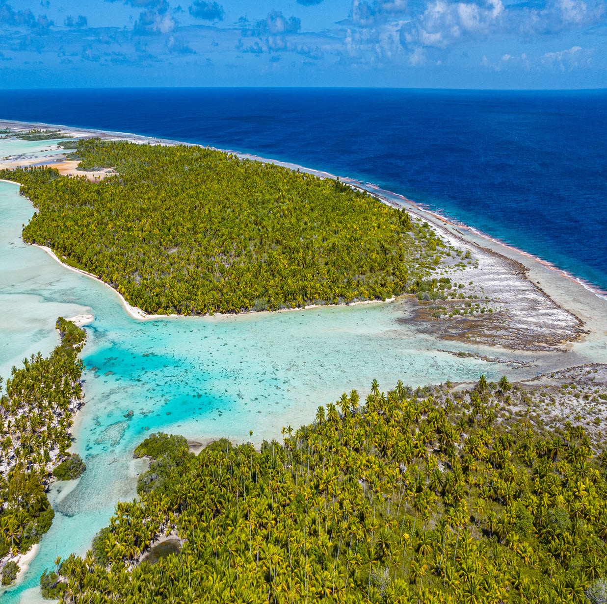 Paul Gauguin Cruises | Teahatea Beach in Fakarava