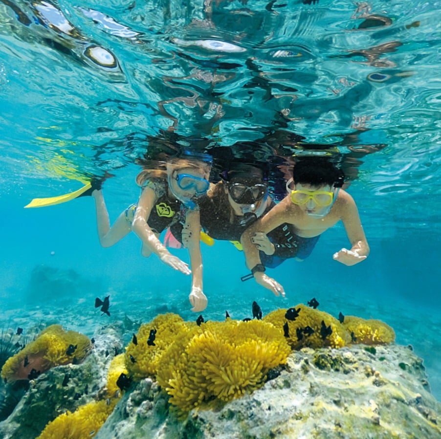 Paul Gauguin Cruises | Raiatea Beach snorkeling
